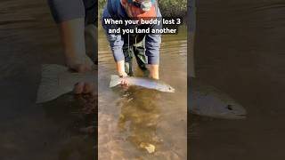 Another steelhead 🎣 fishing funny steelhead trout adventure travel [upl. by Lucrece]