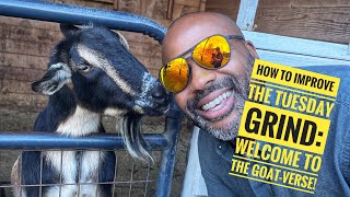 How to Improve the Tuesday Grind Welcome to the GOATverse [upl. by Jacki]