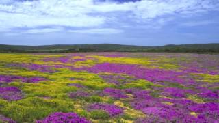 In The Presence of Jehovah  On Holy Ground [upl. by Sidonia]