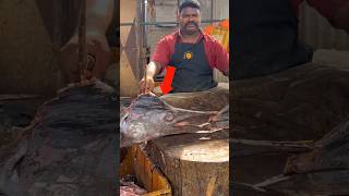 Why Sword Fish Is Rarely Found In Indian Fish Market [upl. by Draneb]