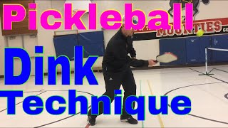 Pickleball Dink Technique  with Mark Renneson [upl. by Jareen62]