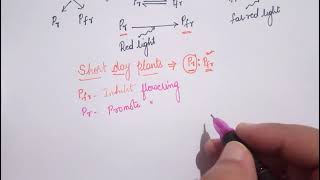 NEET  ROLE OF PHYTOCHROME IN FLOWERING IN SHORT DAY PLANTS [upl. by Ingunna]