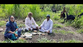 तात्यांनी सोडली एकदाशी शेरडं हिडवायला आणि जेवलं दुपारी राणातच  Farmar Vlog  Tatyacha Mala [upl. by Lindsey]