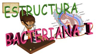 Estructura de una celula bacteriana I [upl. by Matelda]