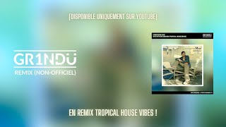 Christophe Maé  On Sattache GR1NDU Tropical House Remix [upl. by Roshelle]