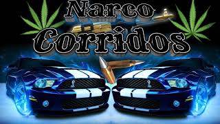 ✴️Narco Corridos ✴️Los Mejores Corridos ✴️ [upl. by Aztirak472]