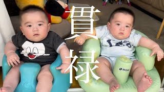 ［双子育児］5ヶ月〜現在…貫禄ありまくりの双子あっくんなっくん 一卵性双生児 双子 赤ちゃん こども 双子育児 [upl. by Yelnats]