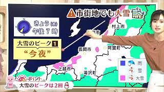 【大雪解説】新潟の大雪ピークは２回 寒波襲来で市街地でも大雪に･･･ 気象予報士 石黒菖 [upl. by Adnahsed]