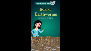 Earthworms  Role of Earthworms  Importance of Earthworms  Natural Science for Kids shorts [upl. by Macnamara]