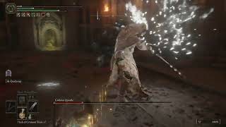 Godskin Apostle fight in Divine Tower of Caelid  Elden Ring [upl. by Nagoh]