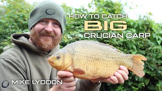 How To Catch Big Crucian Carp  Mike Lyddon  Coarse Fishing [upl. by Reinhold]