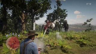 Rdr2 pinkertons encounter [upl. by Lyndon247]