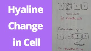 Hyaline change in reversible cell injury Morphology of reversible cell injury  1 year B pharma [upl. by Emelen]