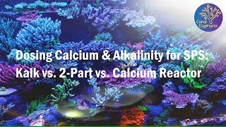 Dosing Calcium amp Alkalinity for SPS in Your Reef Tank Getting Started [upl. by Yelnahs]