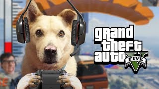 READY PLAYER DOG  GTA 5 Gameplay [upl. by Edda985]