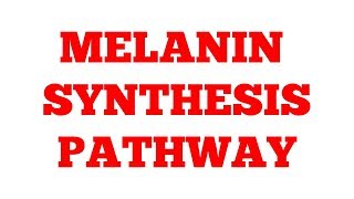 Melanin synthesis pathway  Phenylalanine Metabolism  Part2  Biochemistry [upl. by Lorelle]