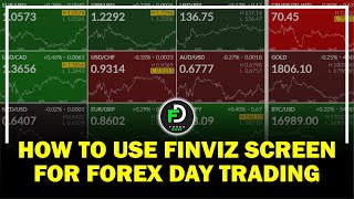 how to use finviz for day trading forex  Best Screener For Forex amp Crypto Trader [upl. by Airtina277]