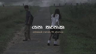 Yana Thanaka SlowedReverb  lyrics  M Status [upl. by Tamma]