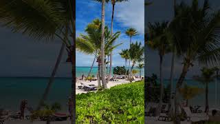 🇩🇴 Barcelo Bavaro Palace Punta Cana Domincan Rep🇩🇴🌴short shorts shortvideo bavaro puntacana [upl. by Anilag347]