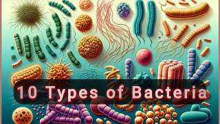 10 types of Bacteria [upl. by Jarrow]