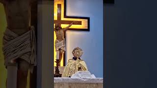 Monstrance in the Roman Catholic christian catholicchurch [upl. by Garceau527]