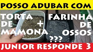 Posso Adubar com Torta de Mamona  Farinha de ossos  Junior Responde  3 [upl. by Anwahs]