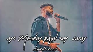 aye Munday pagal nay saray slowed  reverb lofi song by sinu jattt official video [upl. by Im]