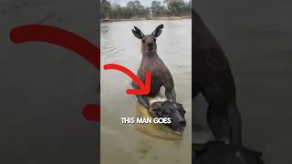 Dog Saved from Kangaroo Attack viral [upl. by Amre880]