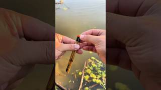 Tiny fishingfishing with the mini rod for micro fish I am the awesome one😋microfishing pescador [upl. by Trilley620]