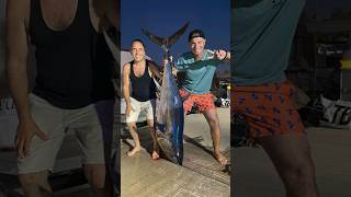 Orkinos Avı  Tuna Fishing  Blue Fin shorts [upl. by Eceinehs]