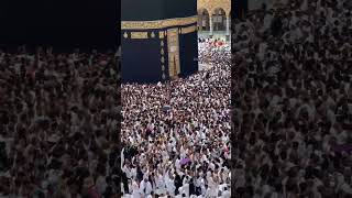 Moula Mere Moula  صَلَّى اللّٰهُ عَلَيْهِ وَسَلَّمَ [upl. by Ahsieker]