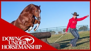 Shana and Marty at Liberty  Downunder Horsemanship [upl. by Skerl]