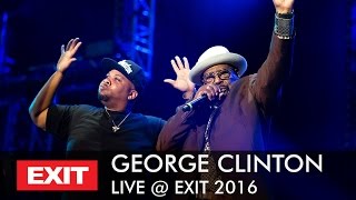 EXIT 2016  George Clinton  Atomic Dog Live [upl. by Aryamo]