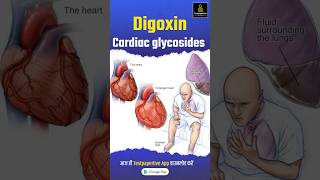 Digoxin  Cardiac glycosides  Short Review by Girvar sir digoxin cardiacglycosides nursing [upl. by Anatole]