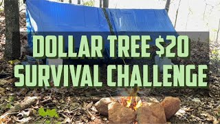 Dollar Tree 20 Survival Challange [upl. by Lonnard]