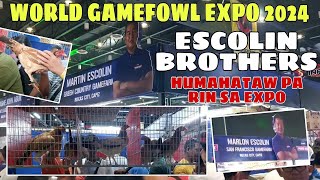 WORLD GAMEFOWL EXPO 2024  ESCOLIN BROTHERS  gwapo at magaling na mga manok  BALERIANS GAMEYARD [upl. by Scotney]