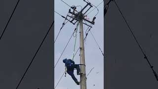 Birdnest removal process from the power transmission pole [upl. by Ormsby]