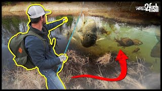 Spring Bank Fishing Guide  How to Find and Catch Panfish [upl. by Aicarg]