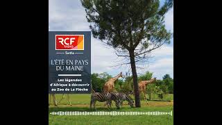 LETE EN PAYS DU MAINE  Les légendes dAfrique sont à découvrir au zoo de La Flèche [upl. by Rebe501]