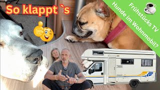 Frühstücks TV ☕️ Hunde 🐶 im Wohnmobil [upl. by Timmons340]