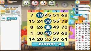 How to play BINGO Blitz [upl. by Brander189]