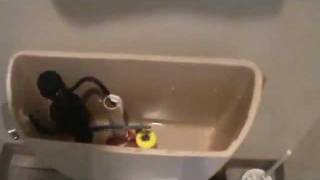 Troubleshooting a leaking toilet [upl. by Adnarrim]