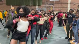 Delta Sigma Theta Sorority Inc  The Real Beta Alpha Chapter  FAMU BADST [upl. by Bord214]