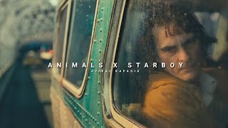 Animals x Starboy  Full Version  Aviral Kapasia  SlowedReverb [upl. by Naxor]