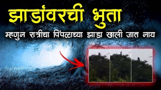 झाडांवरची भुता 😱 सत्य अनुभव  Horror Village Story  Marathi Horror Story  horror Story  Bokoba [upl. by Ainesej624]