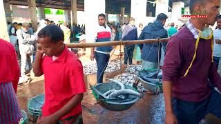 Cox’s Bazar Fisheries Ghat [upl. by Sarilda308]