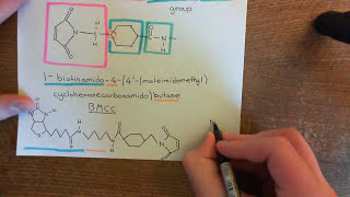 AcylBiotin Exchange Chemistry Part 3 [upl. by Gilemette]