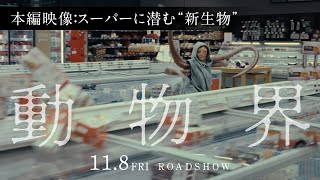 映画『動物界』本編映像／スーパーに潜む”新生物”｜11月8日金公開 [upl. by Iras697]