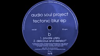 Audio Soul Project  Private Utility [upl. by Enitsed]