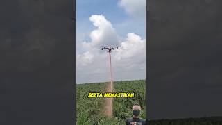 Drone pupuk shorts shortvideo [upl. by Eirrahs]